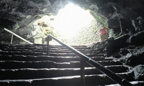 蛇胆川贝液会致畸吗、哺乳期能吃蛇胆川贝液吗 -哺乳期蛇胆川贝液吗网