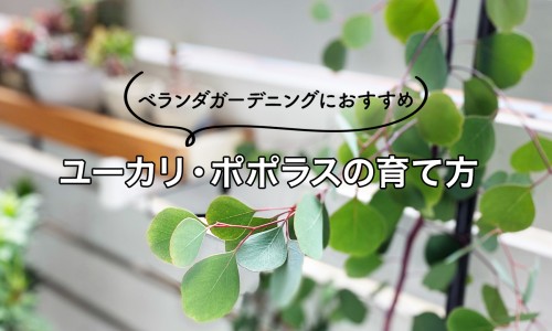 蛇胆川贝液影响备孕吗-蛇胆川贝液会致畸吗、哺乳期能吃蛇胆川贝液吗 -哺乳期蛇胆川贝液吗网