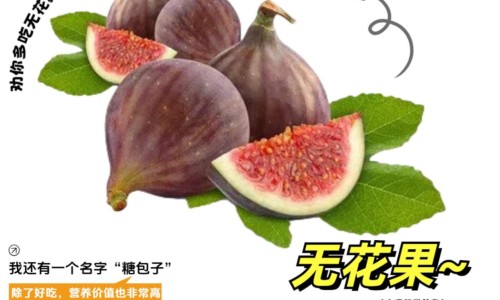 三蛇胆川贝糖浆哺乳期能喝吗-蛇胆川贝液会致畸吗、哺乳期能吃蛇胆川贝液吗 -哺乳期蛇胆川贝液吗网